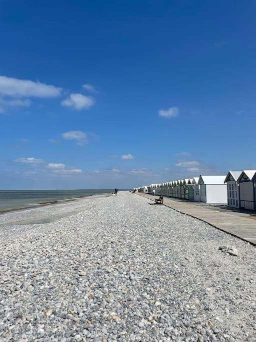 Des Eglantiers Baie De Somme